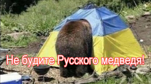 Не будите русского медведя фото