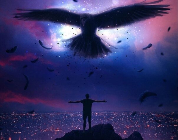 Картинка из открытых источников