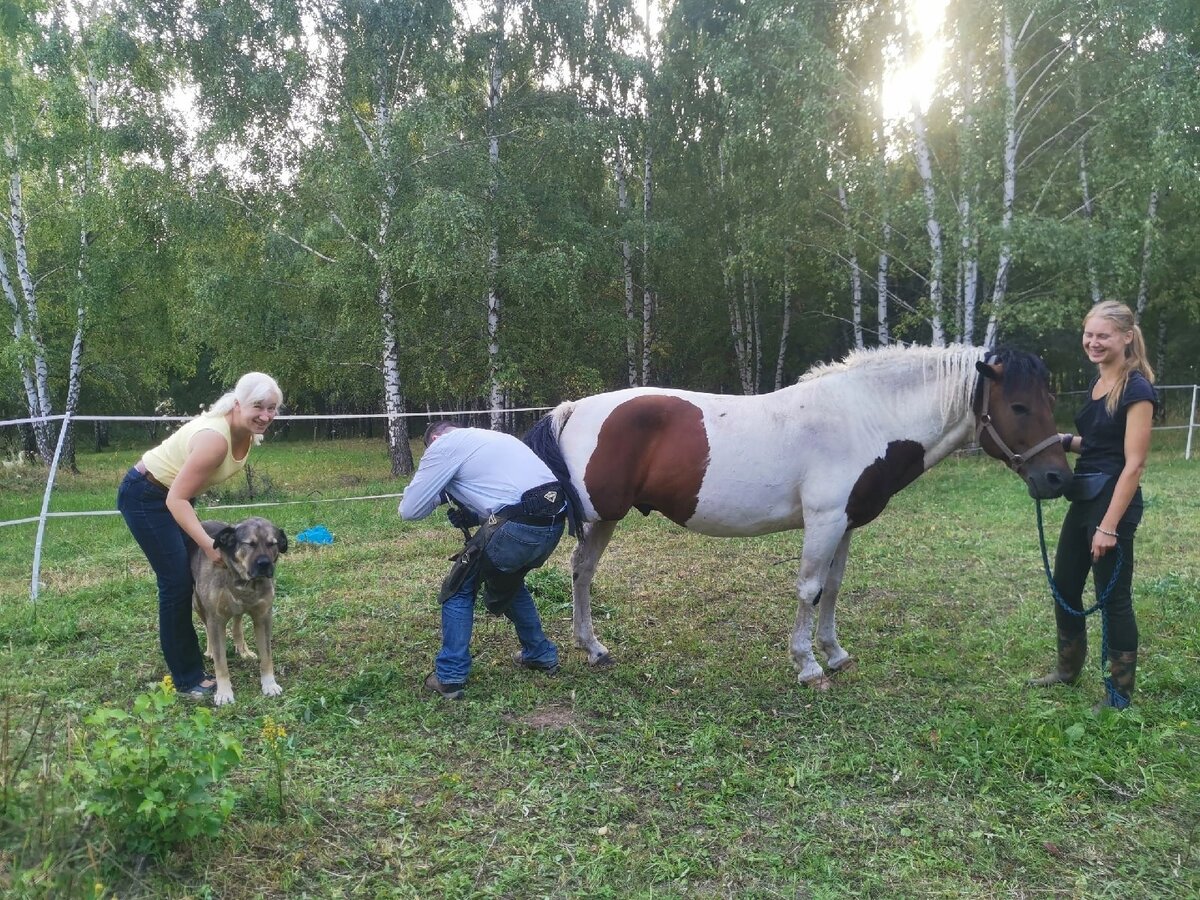 Мне  нравится на этой фотографии то, что девочки разошлись по зверушкам и, кажется, просто стоят и наслаждаются, а мальчик в это время корячится и делами важными занимается. На самом деле в этом процессе расчистки копыт у коней у каждого есть свое ответственное задание. 