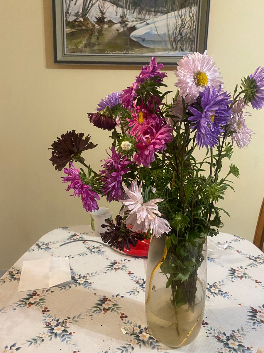 Цветы, подаренные папой маме на день рождения, простояли 10 дней.