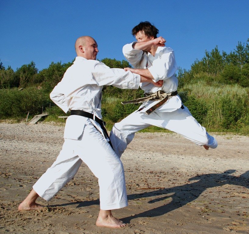 Карате зачем. Стойка в кёкусинкай каратэ. Легенда каратэ киокушинкай. Карате зачем. Карате зачем.