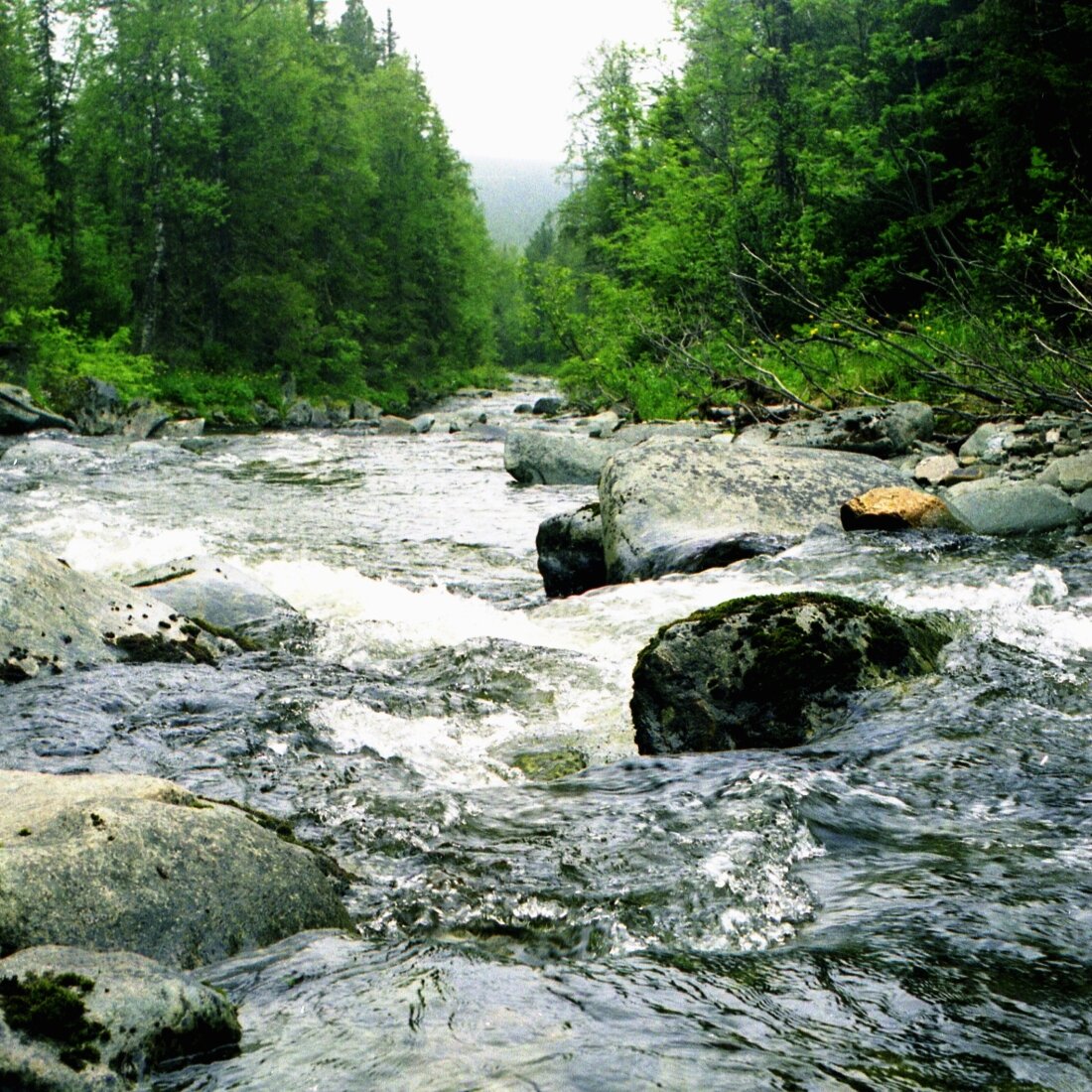 Хороша река (фото автора)