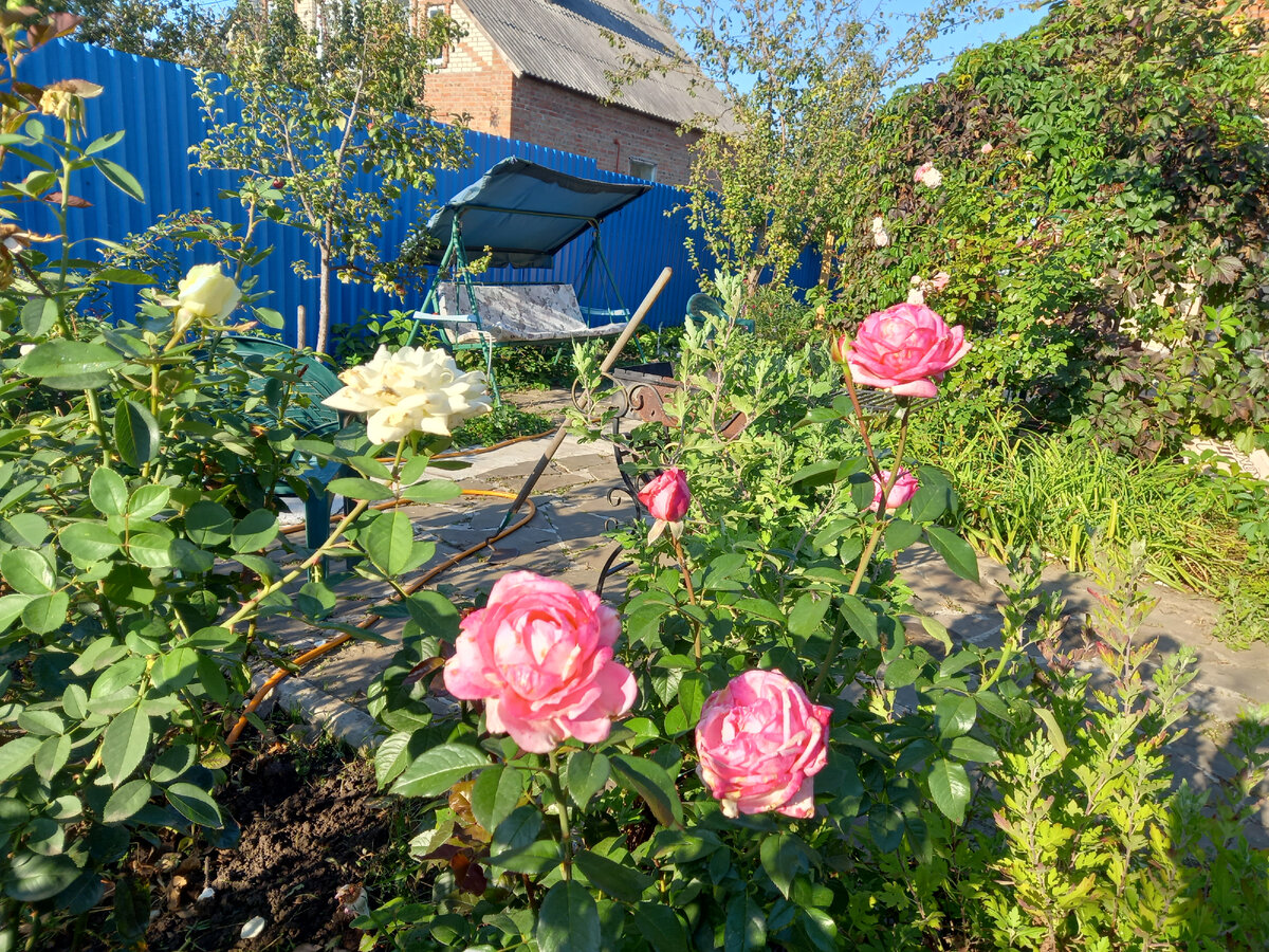 Веддинг Белз  этой осенью старается