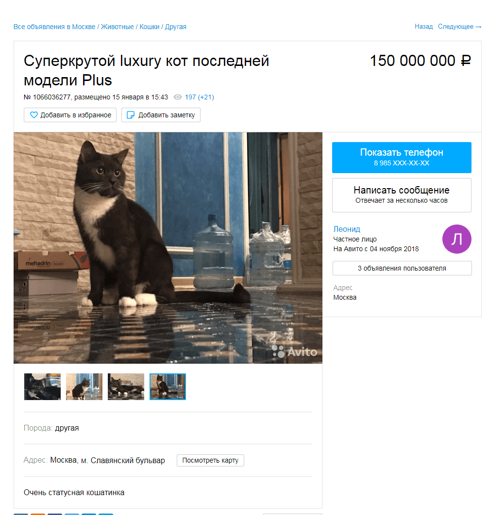 Фото взято из открытых источников