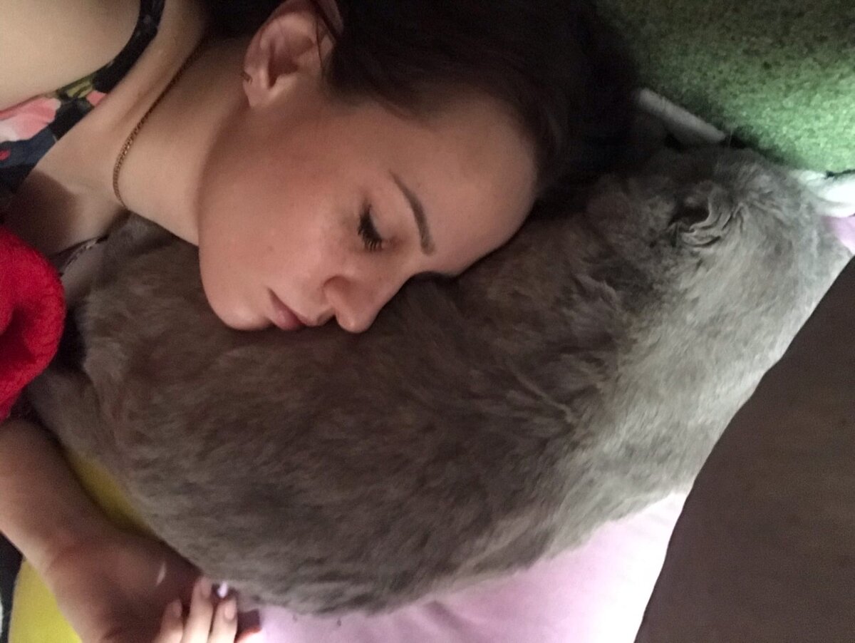 усыпил собаку сам