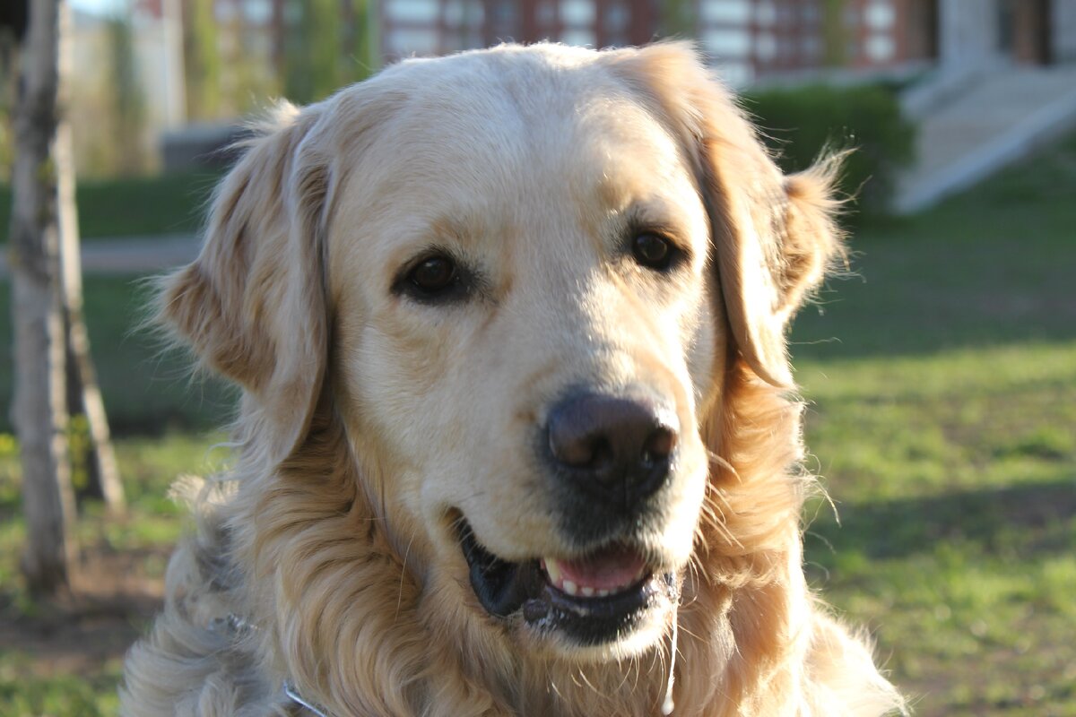 Слююююююююююни!!!!!