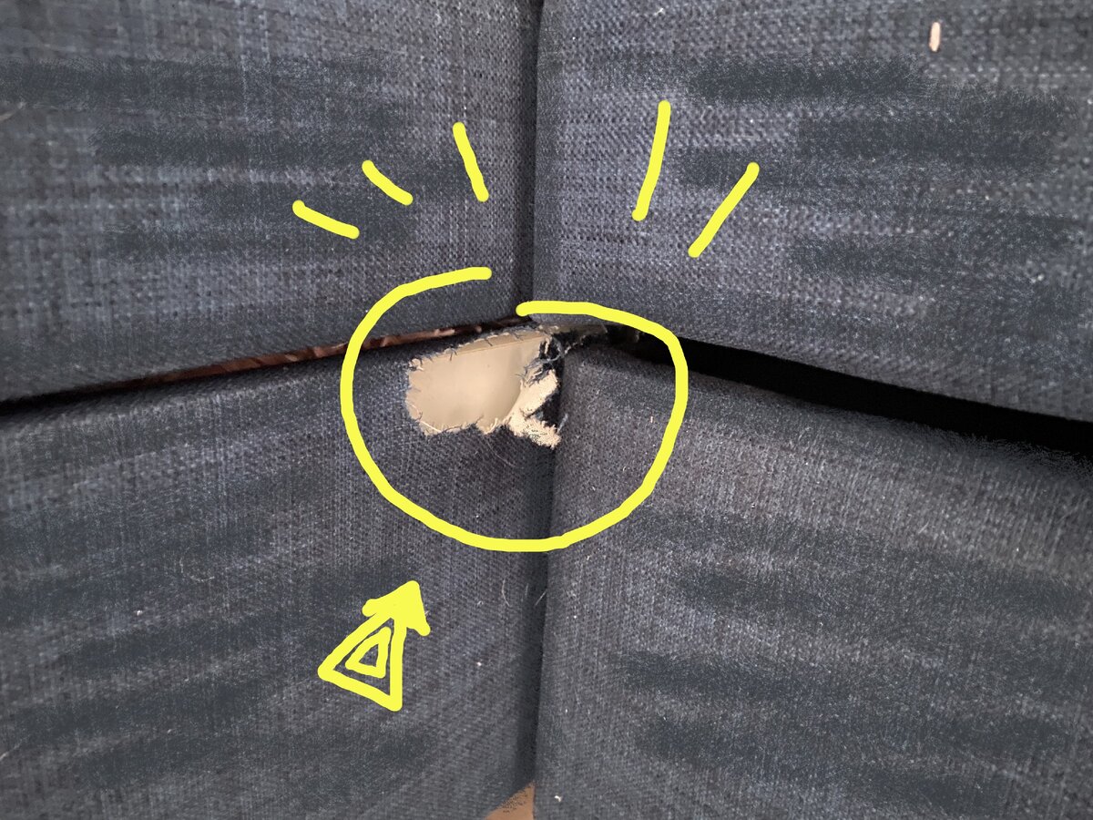 на фото: пострадавший диван, во всех ракурсах