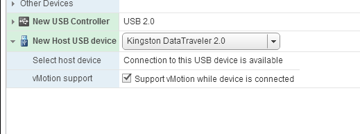 Для поддержки vMotion для ВМ с подключенным физическим USB диском нужно включить опцию “Support vMotion while device is connected”;