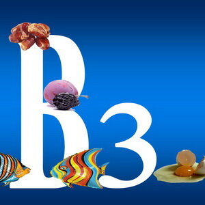 В число витаминов, какие необходимы человеку, входит и витамин В3 (РР, ниацин, никотиновая кислота, антипеллагрический фактора). Наиболее богаты этим витамином мясные продукты, особенно печень, зеленые части растений. В небольших количествах ниацин синтезируется в организме.