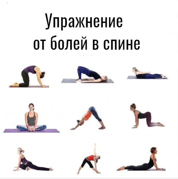 Упражнения для снятия боли в спине. Упражнения от боли в спине. Упражнение от боли в СПИГН. Упражнения от брылей на спине. Упражнения против боли в спине
