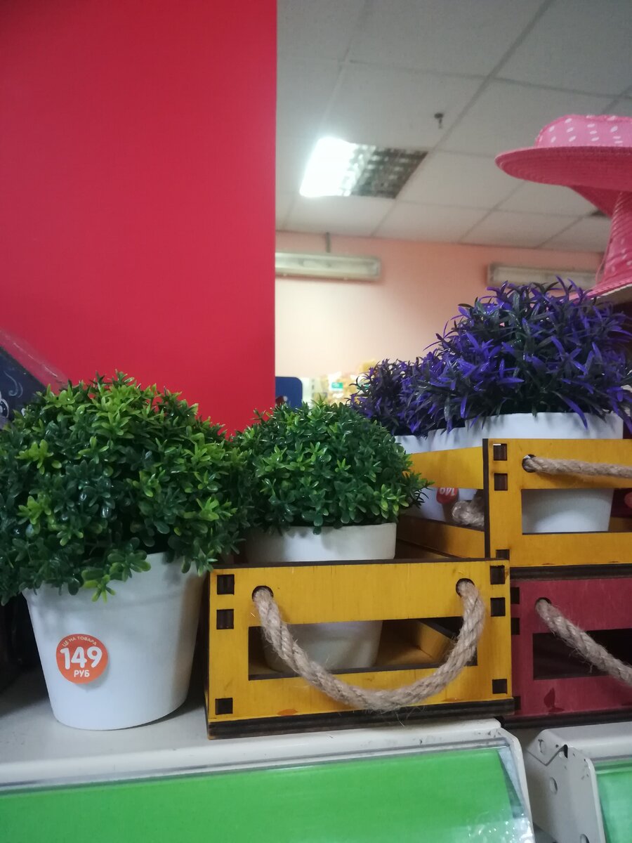 Личное фото автора товары для уюта в доме из магазина фикс прайс 