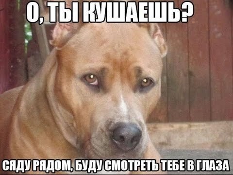 Фото из сети.