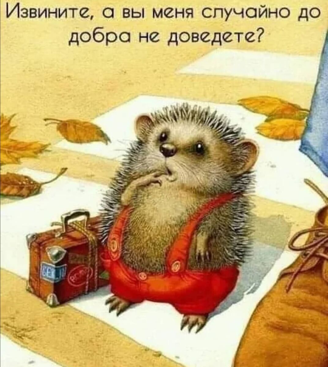 Я ежик