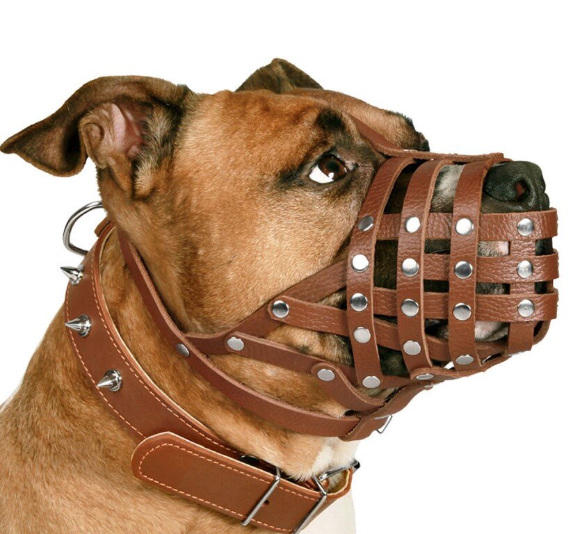 Очень узкий намордник, собака не сможет открыть рот. Ещё мне не нравится, что ремешки сильно прилегают к уголкам губ и создают дополнительное трение и дискомфорт. 