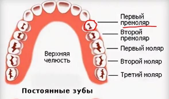 Вот она жертва пандемии.