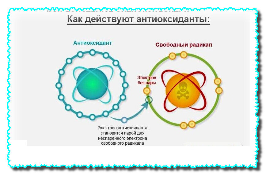 Антиоксидантной активностью обладают. Симптомы нехватки антиоксидантов в организме. Антиоксидантная система и свободные радикалы. Свободные радикалы и антиоксиданты в организме. Механизмы антиоксидантной защиты в организме человека.