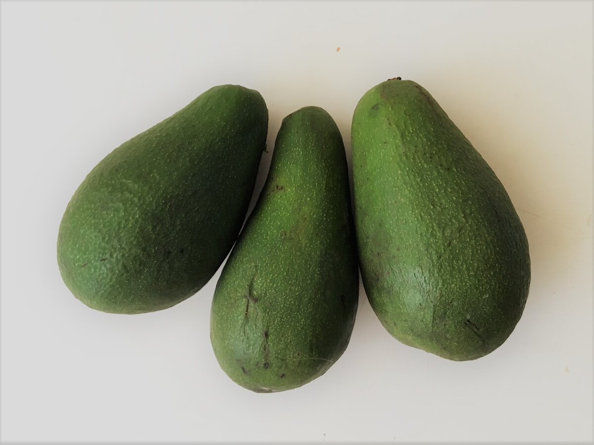 Авокадо