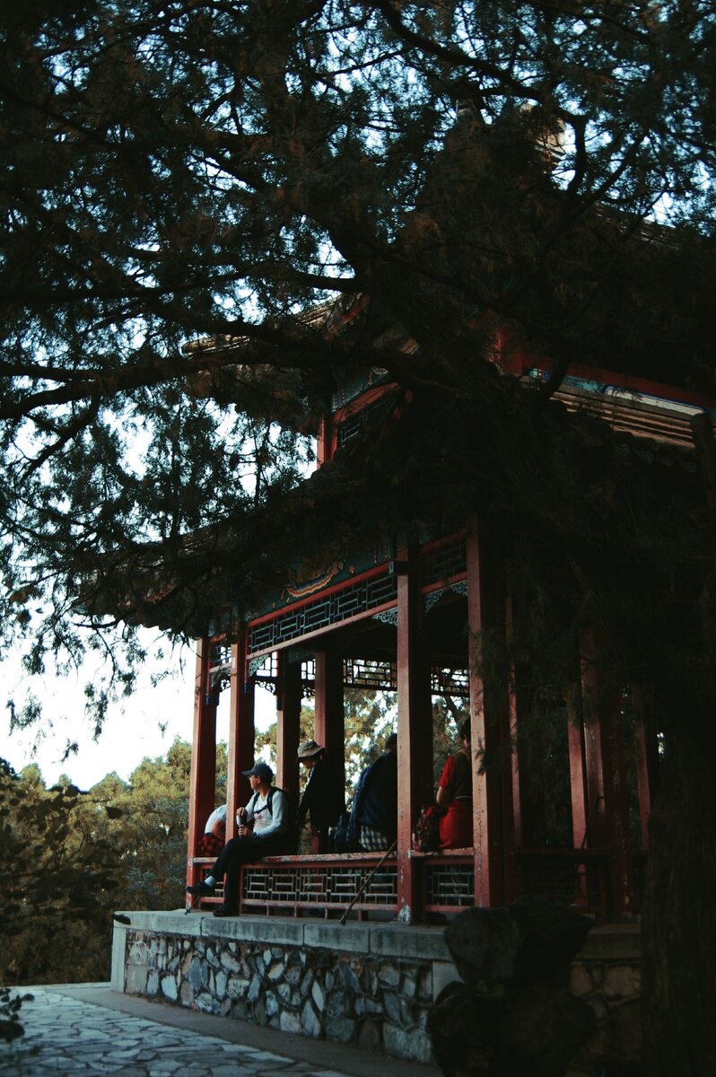  It is also normal to feel yourself lonely, like you are a flying creature in the universe. We are all alone by nature.