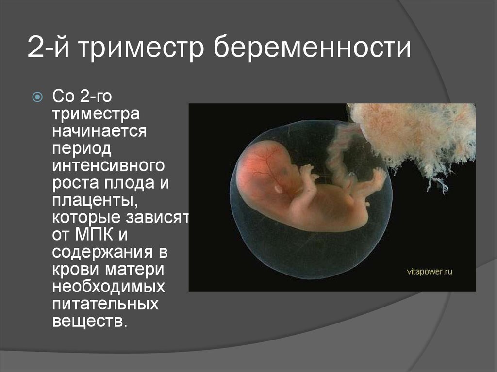 Простуда при беременности: чем и как лечить ОРВИ на разных сроках