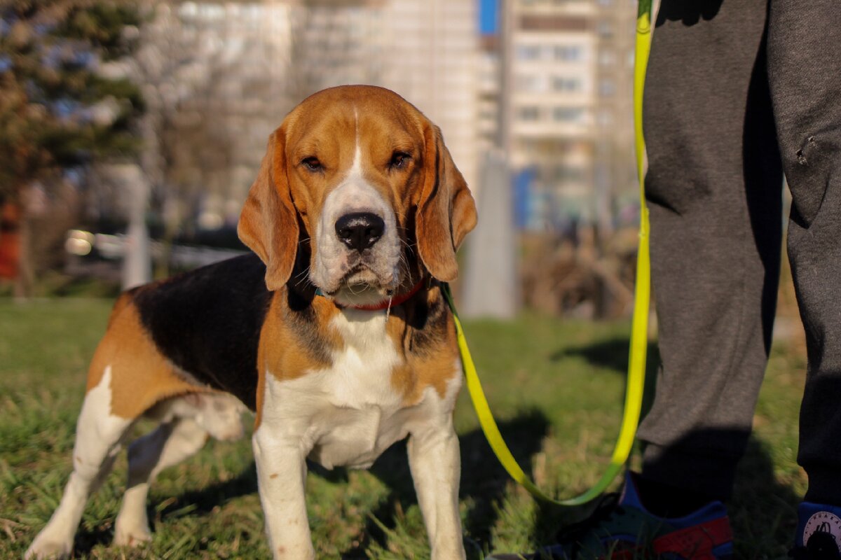 Когда познал смысл жизни