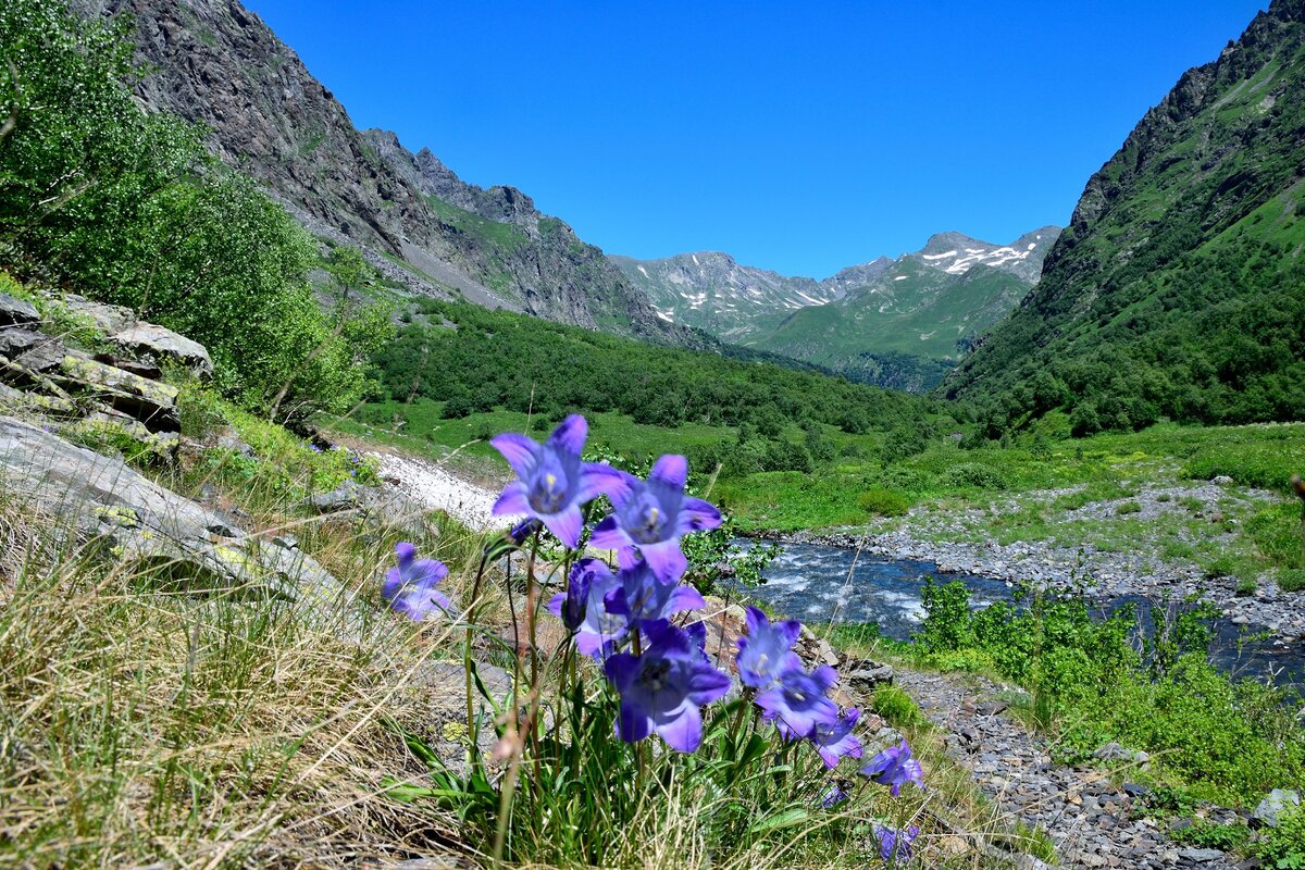 Долина реки Малая Лаба