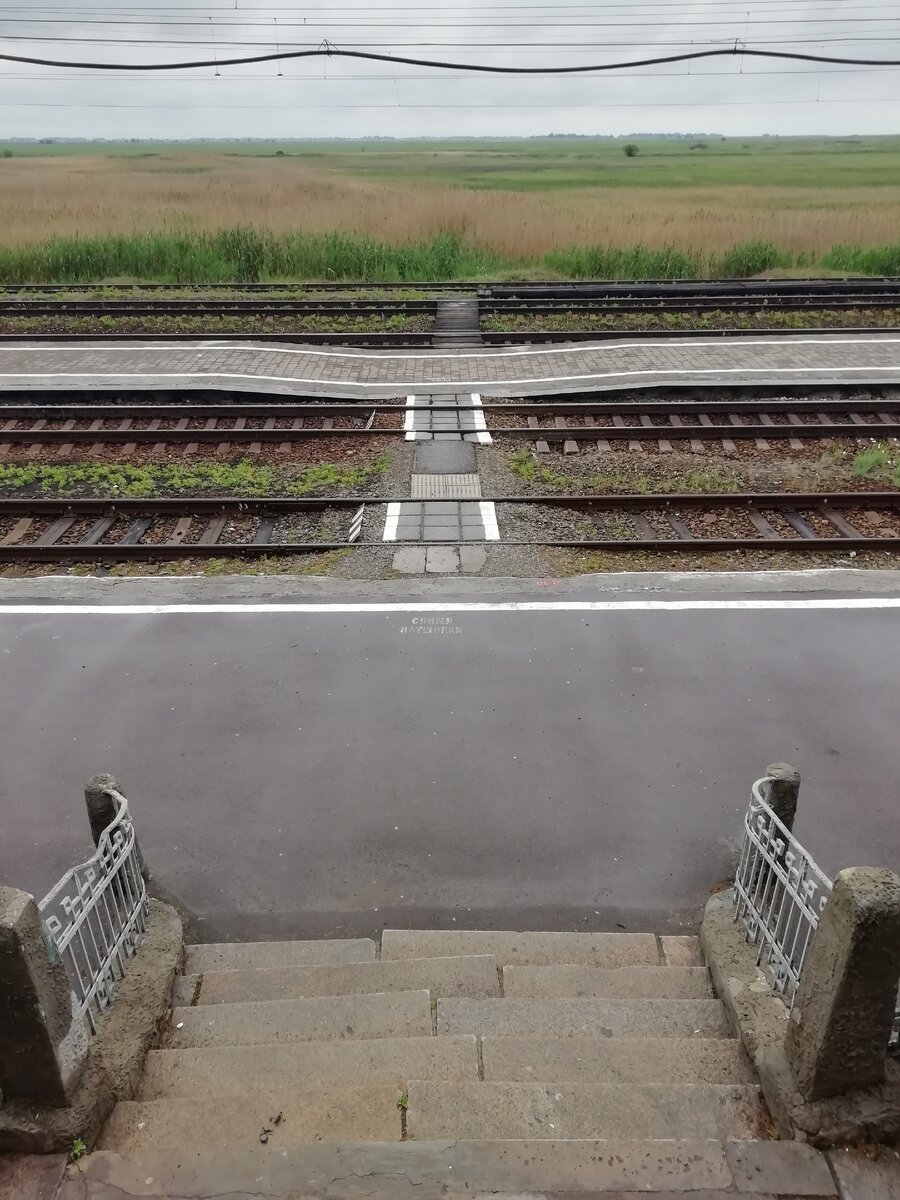 На дальней станции сойду... 