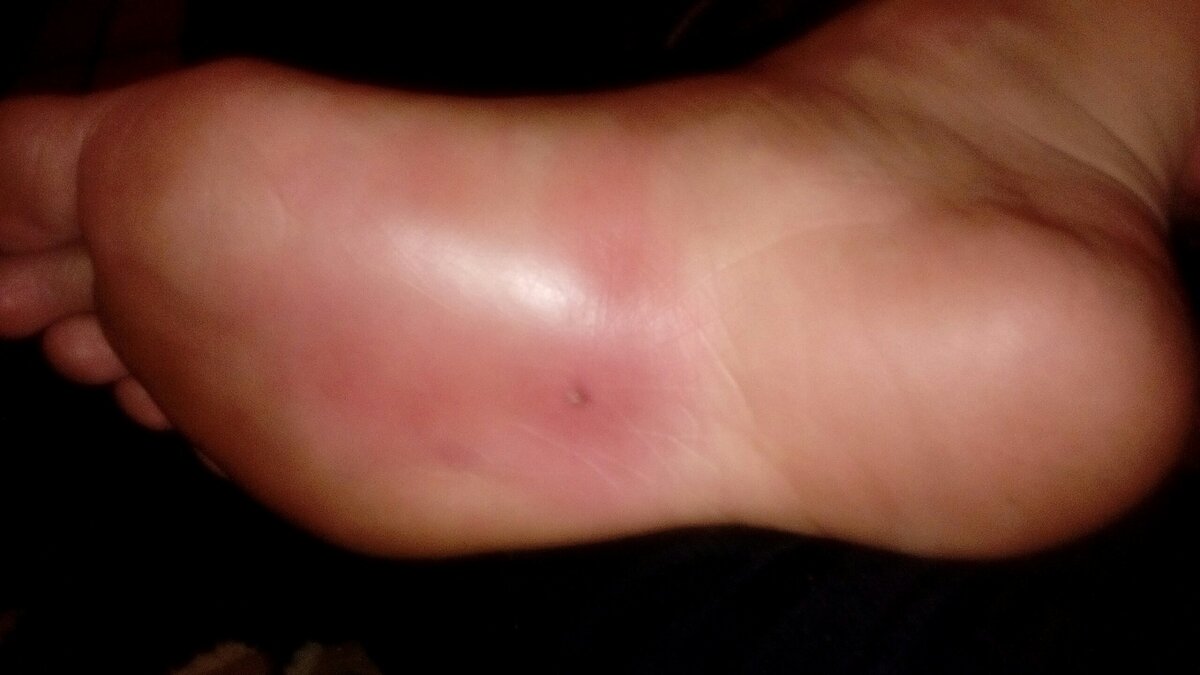 Фото из открытых источников