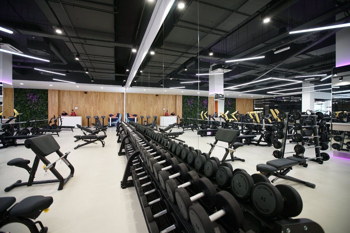 Гантельный ряд DDX Fitness Бутово