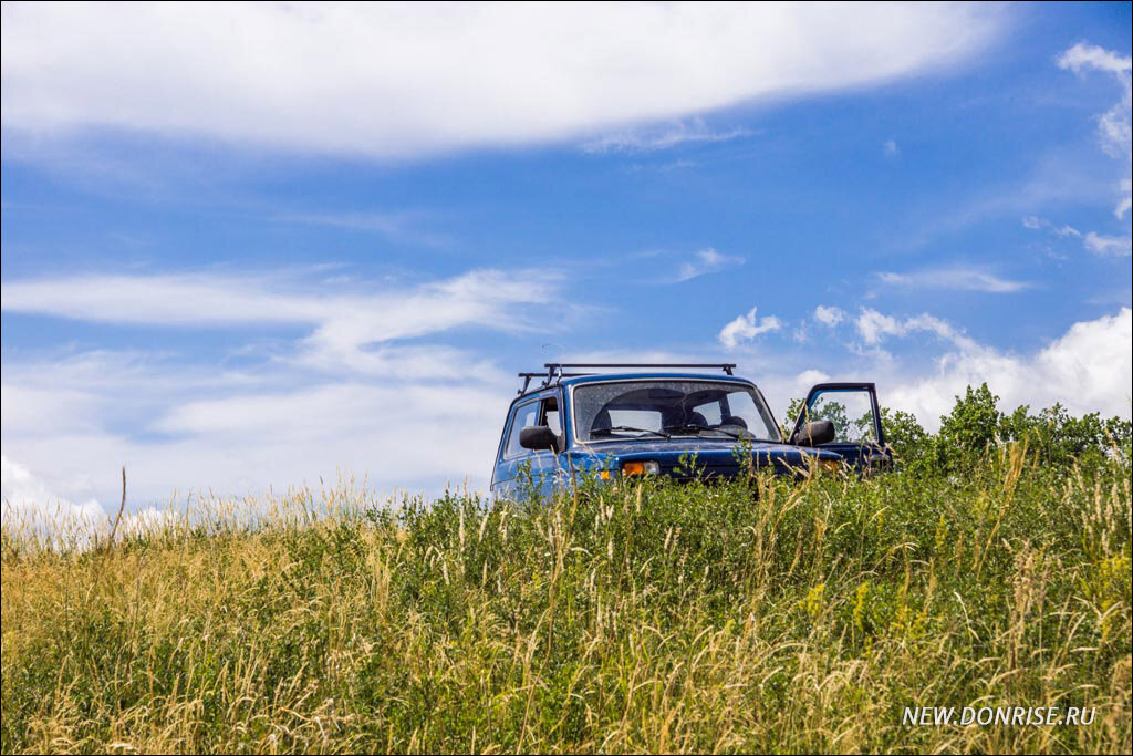 Верный «конь»