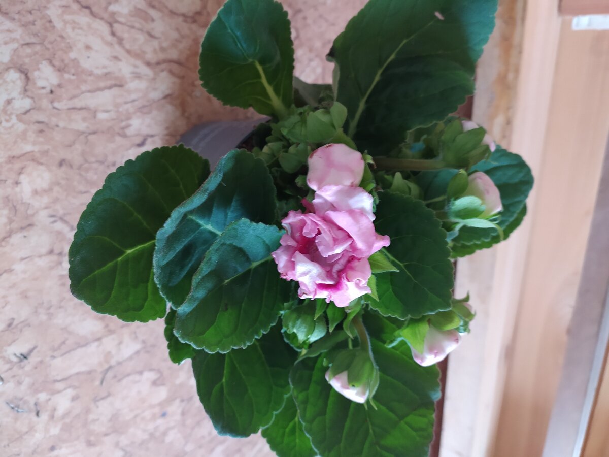 Не пойму что 