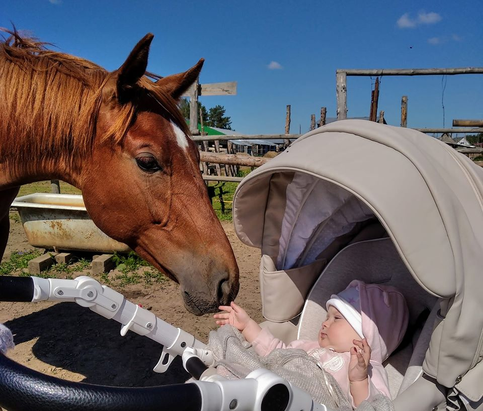 фото с https://вконтакте24.рф/dmitriy-ivanov-7769295.html