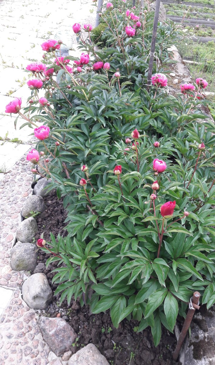 Вот такие деревяшечки.Здесь конечно не так их сильно заметно,если сбоку смотрим то конечно не айс.