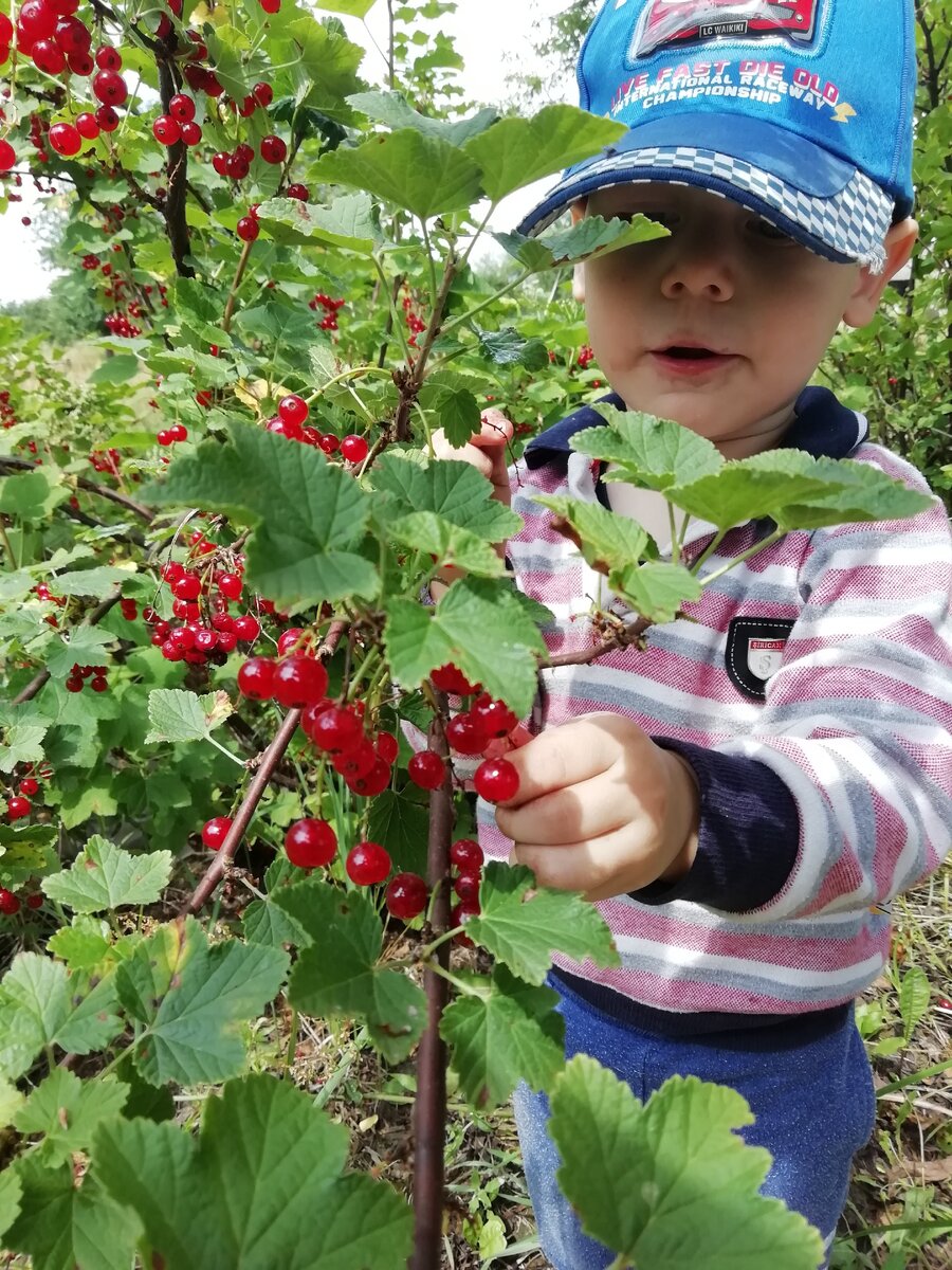 июль 2019. у прабабушки в деревне Котельня Боярская 