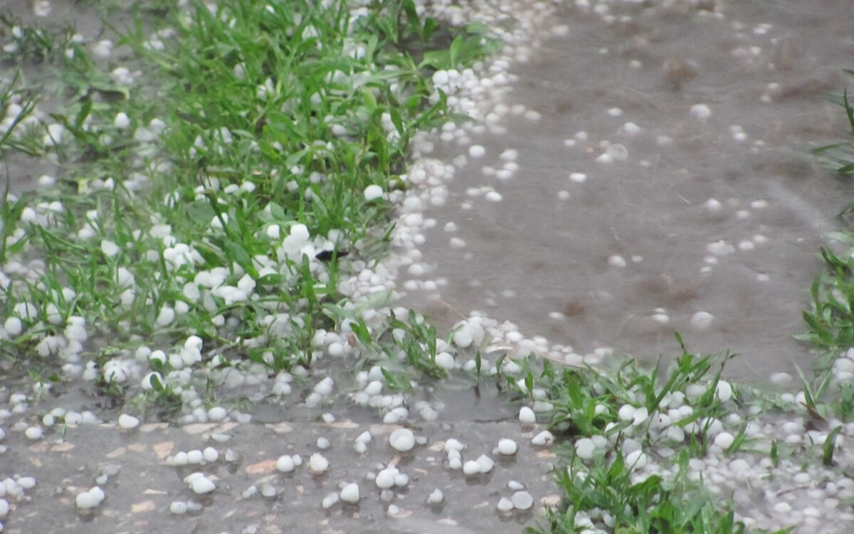 Пятое июня.