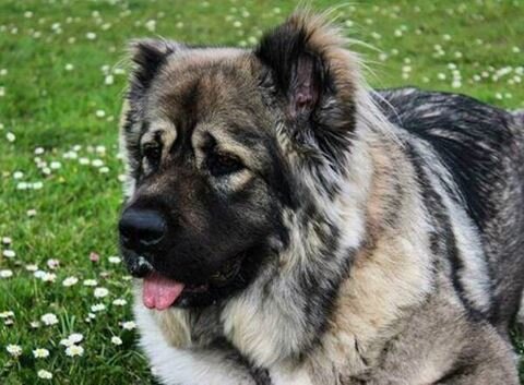 Фото из открытого доступа