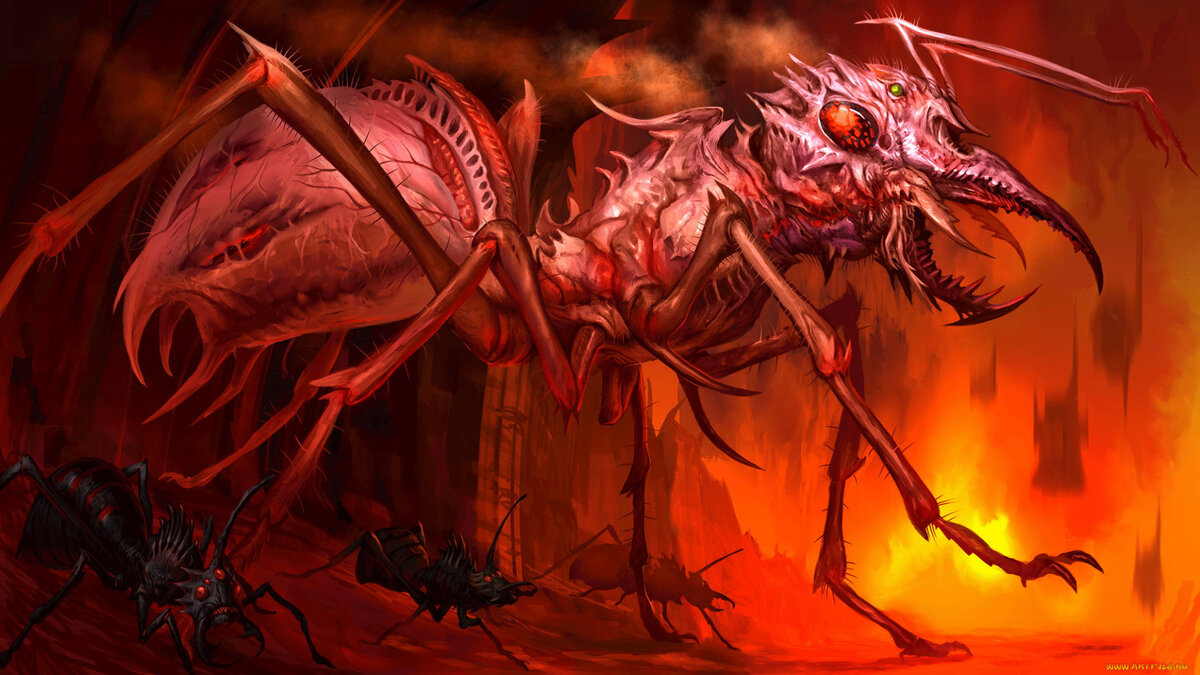 Картинка из свободного источника.