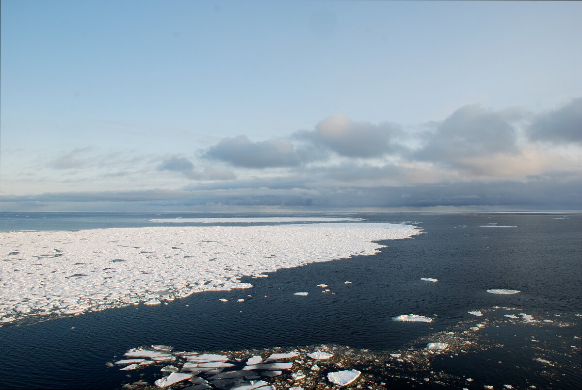 Полуостров окружен морскими заливами карского моря