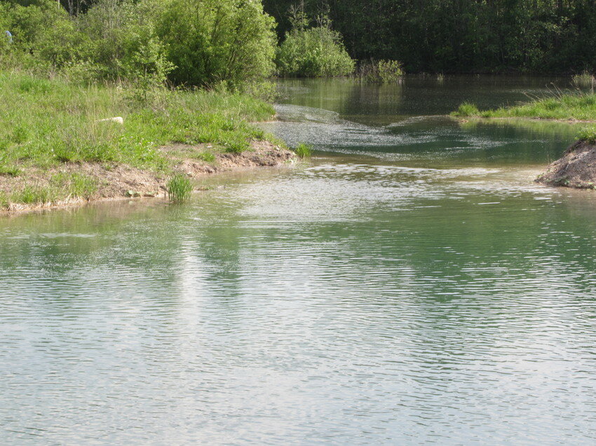 Источник фото:  https://foto-planeta.com/photo/491302.html