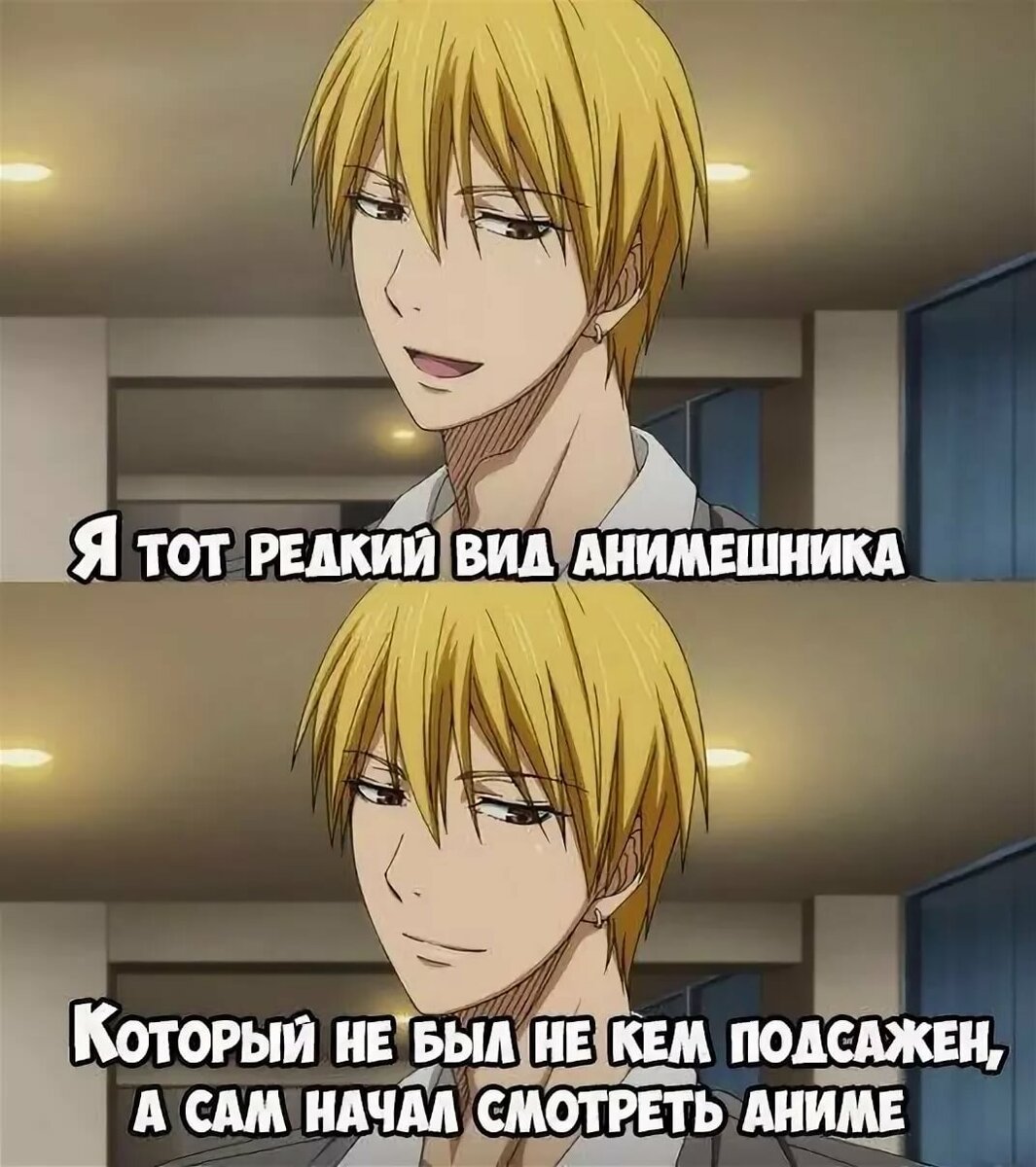 ХАХ ПОМНЮ КАК Я СКАЗАЛА ГОД НАЗАД, ЧТО АНИМЕ ГОВНО