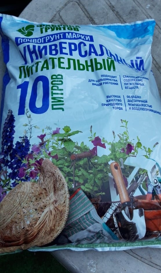 фото автора канала