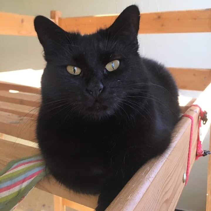 Банни как она есть.