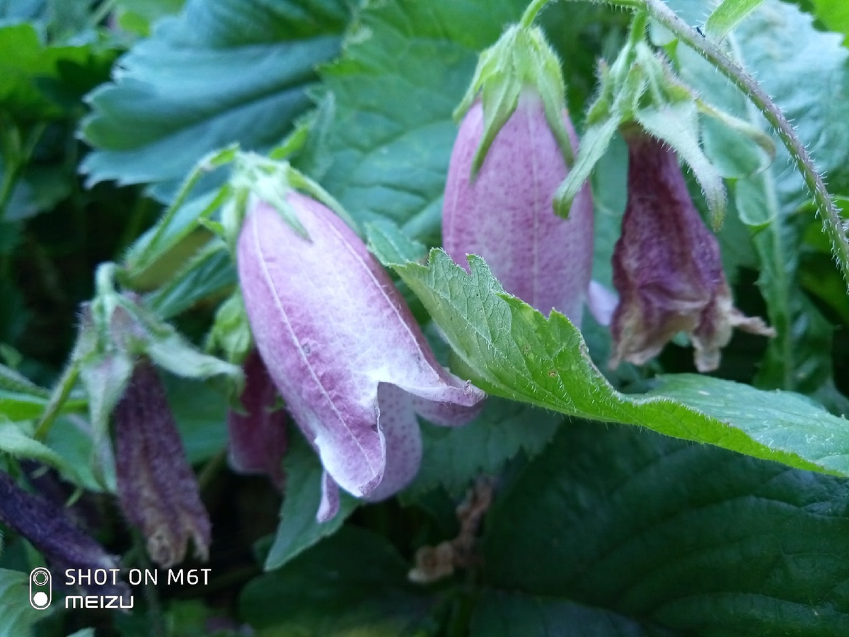 Автор - фото собственное