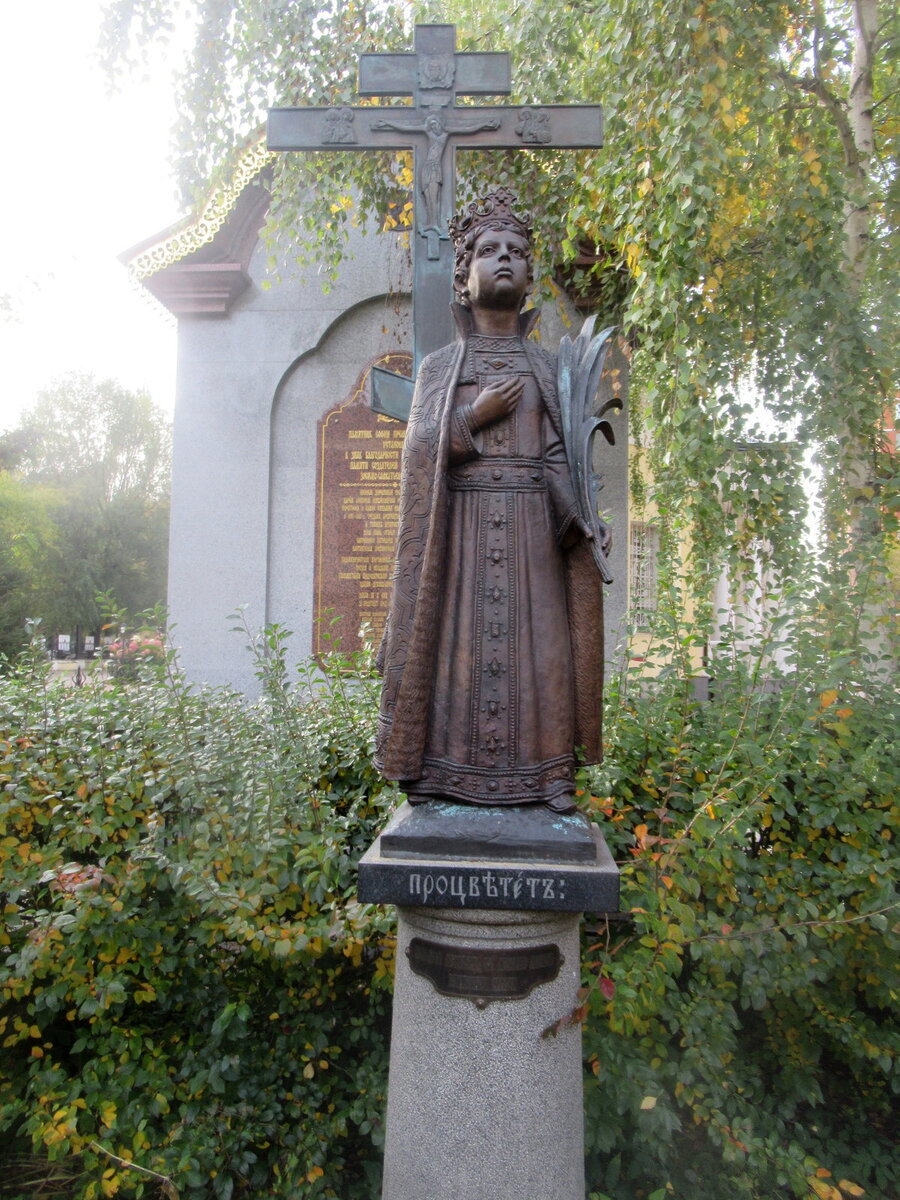 Святой благоверный царевич Димитрий, сын царя Иоанна IV Грозного от его седьмого брака с Марией Федоровной (из рода Нагих), родился 19 октября 1582 года (а по другим источникам, 1583 или 1585 гг.) в Москве. Царь Иоанн назначил в удел царевичу с его матерью Углич. После смерти Иоанна Грозного на престол вступил старший брат царевича Димитрия Феодор Иоаннович. Однако фактическим правителем Русского государства был его шурин, властолюбивый боярин Борис Годунов. Добрый Феодор Иоаннович остался почти при одном имени царя, а все делалось, как хотел Борис; иностранные дворы присылали Годунову дары наравне с царем. Между тем Борису известно было, что в государстве, начиная с царя Феодора, признают Димитрия наследником престола, и имя его поминалось в церквях. Сам Борис в разных делах Феодорова времени признавал Димитрия наследником престола. 
Искони ненавидящий добро в роде человеческом диавол, видя сирых братьев, царя Феодора и царевича Димитрия, ни о чем земном не радеющих, ибо ни славы мира сего, ни богатств не желали, и, не в силах будучи ни в чем их искусить, вложил в сердце Бориса твердый помысл восхитить самодержавство, чтобы быть властелином на Руси, когда истребится корень царский, не ведая того, что Бог власть кому хочет, тому дает. И, тревожимый опасениями за свою будущность и обольщаемый мечтами о власти, Борис Годунов, привыкший распоряжаться всем с помощью самодержавного царя, стал действовать против царевича, как против личного врага своего, желая избавиться от законного наследника русского трона.

Для осуществления своего преступного замысла Борис Годунов решил удалить царевича от московского царского двора. Вместе с матерью – вдовствующей царицей Марией Феодоровной и ее родственниками царевич Димитрий был отправлен в свой удельный город Углич.

Стараясь избежать опасного кровопролития, Борис Годунов пытался сначала оклеветать юного наследника престола, распустив через своих приверженцев лживые слухи о мнимой незаконнорожденности царевича и запретив поминать его имя во время богослужений. Поскольку эти действия не принесли желаемого, коварный Борис прибег к распространению новых вымыслов: будто бы Димитрий I с юных лет уже являет в себе наследственную суровость государя, отца своего. Но все это казалось Борису недостаточным; он не мог рассчитывать на царский престол, пока жив Димитрий, а потому решился погубить царевича. Попытка отравить юного царевича с помощью Василисы Волоховой, кормилицы Димитрия Иоанновича, не увенчалось успехом: смертоносное зелье не вредило отроку.

Но когда злодеи убедились, что нельзя совершить злодеяние в тайне, они решились на явное. Через своего сообщника Андрея Клешнина Борис отыскал знакомого человека, дьяка Михаила Битяговского, взявшегося собственноручно умертвить царевича. И посланный в Углич со своим сыном Даниилом и племянником Никитой Качаловым, будто бы для управления земскими делами и хозяйством вдовствующей царицы, Битяговский поручил Волоховой вывести в назначенное время царевича во двор. В субботний день 15 мая 1591 года утром боярыня мамка Волохова позвала Димитрия гулять во двор; кормилица Ирина, как бы предчувствуя, удерживала царевича во дворце, но мамка силой вывела его из горницы в сени, к нижнему крыльцу, где уже были Осип Волохов, Данило Битяговский и Никита Качалов. Волохов, взяв Димитрия за руку, сказал: «Сие у тебя новое ожерелье, государь?» Он же, кроткий агнец, подняв голову, тихим голосом отвечал: «Сие есть старое ожерелье». И Волохов кольнул его ножом по шее, но не захватил гортани. Кормилица, видя пагубу своего государя, пала на него и начала кричать, и убийца, бросив нож, побежал, но союзники его Данило Битяговский и Никита Качалов били кормилицу едва не до смерти и, отняв из рук ее праведного отрока, дорезали и сбросили его вниз с лестницы. В это время вышла на крыльцо царица и, увидев гибель сына своего, громко стала вопиять над ним. При виде этого страшного злодеяния пономарь соборного храма, запершись на колокольне, ударил в набат, созывая народ. Сбежавшиеся со всех концов города люди отомстили за невинную кровь восьмилетнего отрока Димитрия, самочинно расправившись с жестокими заговорщиками. Донесено было в Москву об убиении царевича, и сам царь хотел отправиться в Углич для исследования преступления, но Годунов под разными предлогами удержал Феодора Иоанновича в Москве. И через своих людей князя В.И. Шуйского (впоследствии царь), окольничего Клешнина и дьяка Вылузгина, посланных в Углич для судебного разбирательства, Борис Годунов сумел убедить царя в том, что его младший брат якобы страдал падучей болезнью и умер нечаянно, упав на нож.

Царица-мать, обвиненная в недостатке надзора за царевичем, была сослана в отдаленный скудный монастырь святого Николая на Восхе, по ту сторону Белого озера, и пострижена в иночество с именем Марфы. Братья ее были сосланы по разным местам в заточение; жители Углича за самовольную расправу с убийцами одни были казнены, другие сосланы на поселение в Пелым, а многим урезывали языки.

Казалось, все заглушено или все умерло; но глас Божий – глас народа: возникла молва народная о усопшем царевиче, и глухой ропот, тщетно подавляемый, все возрастал. Несмотря на приговор боярский и указ царев, никто не верил угличскому розыску князя Шуйского, хотя и укрепленному рукоприкладством стольких свидетелей мирских и духовных. Нельзя думать, чтобы верил и сам князь Шуйский, когда при других обстоятельствах, уж пятнадцать лет спустя, увенчанный сам наследственным венцом Димитрия, писал в окружных грамотах своих народу, что «за грехи всего христианства православного великого государя царевича Димитрия Иоанновича не стало, убит же он, как непорочный агнец, в Угличе». Он перед всей Россиею свидетельствовал, что «царевич Димитрий Иоаннович, по зависти Бориса Годунова, яко овча незлобливо, заклася». И патриарх Иов в грамоте 1606 года писал: «Прият заклание неповинно от рук изменников своих»; и патриарх Ермоген в сказании об убиении царевича, и многие российские и иностранные современники – все единодушно говорили, что царевич убит по тайному приказанию Годунова. Ложь, прикрывающая убийц, стала явной, когда в 1606 году открыли гроб царевича, и тогда нашли, что «в левой руке царевич держал полотенце, шитое золотом, а в другой – орехи», в таком виде его и постигла смерть. Царевич Димитрий был погребен в Угличе в дворцовом храме в честь Преображения Господня.

Но Господь, зрящий не на лица, а на помыслы, прежде даже нежели они созреют в деяния, произнес устами пророка Исаии: Мне отмщение, Аз воздам (Рим.12,19). И устами иного пророка: «Что грех отцев взыщет на сынех до третьего и четвертого рода, милость же Его на тысячи родов» (Исх.20,5-6). Он посетил дивными судьбами Своими всех, причастных к смерти Димитриевой. Одним именем мнимо воскресшего отрока поражен сам Борис на престоле и все его семейство. И князь Василий Шуйский, ближайший судья в смерти царевича, низложивший первого Лжедмитрия, сам низложен с престола во время смут второго; и опять тень царевича оказывается сильнее обладающего царя: сам он невольно пострижен, как бы за невольное пострижение матери царевича и, как братья ее Нагие, терпит он с братьями своими долголетние узы и кончается в плену со всем своим родом, некогда столь могущим. Таковы были дела Божии в людех Своих.

Уже в царствование Бориса Годунова у гробницы благоверного царевича Димитрия стали совершаться исцеления больных. 3 июня 1606 года, в царствование Василия Шуйского, при патриархе Ермогене, святые мощи страстотерпца были обретены нетленными и перенесены в собор во имя Архистратига Михаила в Москве митрополитом Ростовским и Ярославским Филаретом, отцом будущего царя Михаила Феодоровича Романова.

Побуждением к этому было желание, по выражению царя Василия Шуйского, «уста лжущия заградить и очи неверующия ослепить глаголющим, яко живый избеже (царевич) от убийственных дланей», ввиду появления самозванца, объявившего себя истинным царевичем Димитрием. Торжественно были перенесены святые мощи и положены в Архангельском соборе Московского Кремля, «в приделе Иоанна Предтечи, идеже отец и братия его». После многочисленных чудесных исцелений от святых мощей в том же 1606 году «составиша празднество царевичу Димитрию трижды в год – рождение (19 октября/1 ноября), убиение (15/28 мая), перенесение мощей к Москве (3/16 июня)». Русская Церковь благоговейно чтит память св. царевича Димитрия. Город Углич, почитающий святого царевича Димитрия своим особым небесном покровителем, к этим дням присоединяет еще 16 мая. В этот день г. Углич совершает так называемую «празднество плащанице св. царевича». Плащаница (пелена) с изображением св. царевича Димитрия была вышита его материю на прославленные его мощи и одр, на котором они были несены из Углича в Москву. Эта плащаница, а также образ святого царевича, «на доске писанный», были присланы из Москвы в Углич (вероятно, патриархом Ермогеном). Впоследствии «умысли чин духовный и граждане, да установят празднество плащаницы сей месяца мая в 16 день, носите вокруг дворца его и младенцы подносите, яко же и царевич имел семь лет с половиною, исправляя сие и до разорения Углича от Литвы». Праздник этот отличается глубоко умилительной торжественностью. В этот день после литургии вокруг «царевичева дворца» с торжественным крестным ходом обносились при пении тропаря царевичу плащаница и одр, на котором святые мощи царевича были несены из Углича в Москву. Под плащаницу и одр угличские граждане все – без различия званий и состояний – почитали непременно своей обязанностью подвести или поднести своих детей, начиная с грудных и до 8-летнего возраста. Глубокая вера, что злодейская рука убила только тело святого царевича, а святая душа предстоит престолу славы Царя Небесного, превращая день заклания – этот некогда ужаснейший день – в светло-радостный праздник – в «царевичев день»! День убиения святого царевича есть день его небесной радости, и свою небесную радость он сообщает детям, пришедшим на его праздник.

Святитель Димитрий Ростовский составил житие и описание чудесных исцелений по молитвам святого царевича Димитрия, из которого видно, что особенно часто исцелялись больные глазами.

В Угличе на месте убиения святого царевича Димитрия был построен храм его имени, который в народе получил название «церковь царевича Димитрия на крови». В этом храме хранилось рукописное житие благоверного царевича, написанное святителем Димитрием, митрополитом Ростовским.

Во время Отечественной войны 1812 года святые мощи благоверного царевича Димитрия были спасены от поругания священником московского Вознесенского женского монастыря Иоанном Вениаминовым, который вынес их под своей одеждой из Архангельского собора и спрятал в алтаре, на хорах второго яруса соборного храма в Вознесенском монастыре. После изгнания французов святые мощи были торжественно перенесены на прежнее место – в Архангельский собор.

В «Иконописном подлиннике» под 15 мая сказано: «Подобием млад отрок в венце царском и багрянице, руки молебные; убиен бысть на Угличе повелением Бориса Годунова».