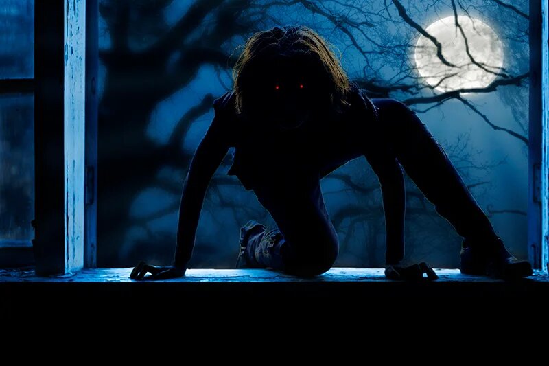 Взято с открытого доступа.