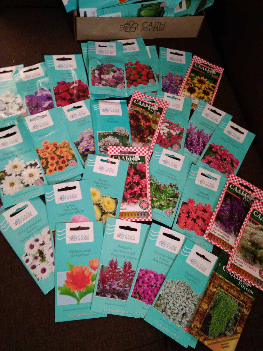 Цветы из заказа.