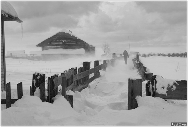 Фотография взята из интернета.