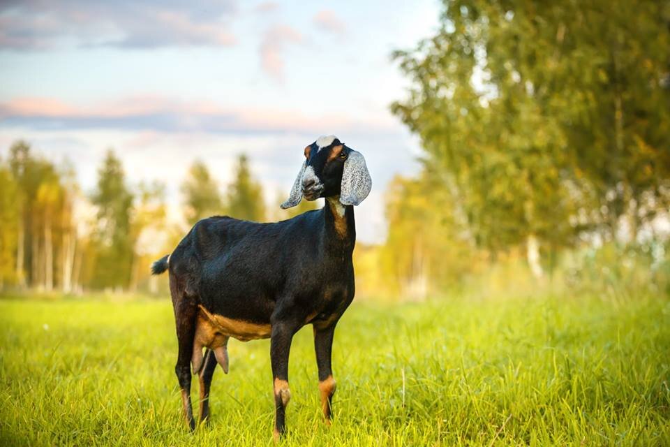 Фото из архива автора