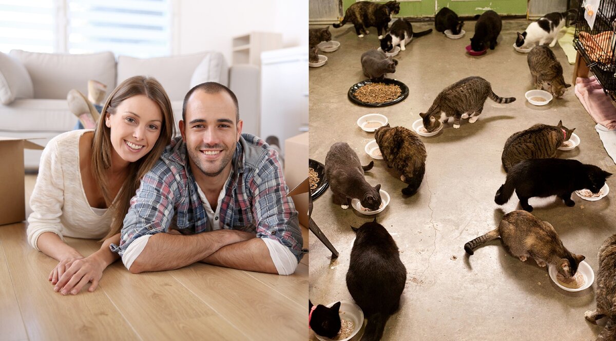 фото из открытых источников