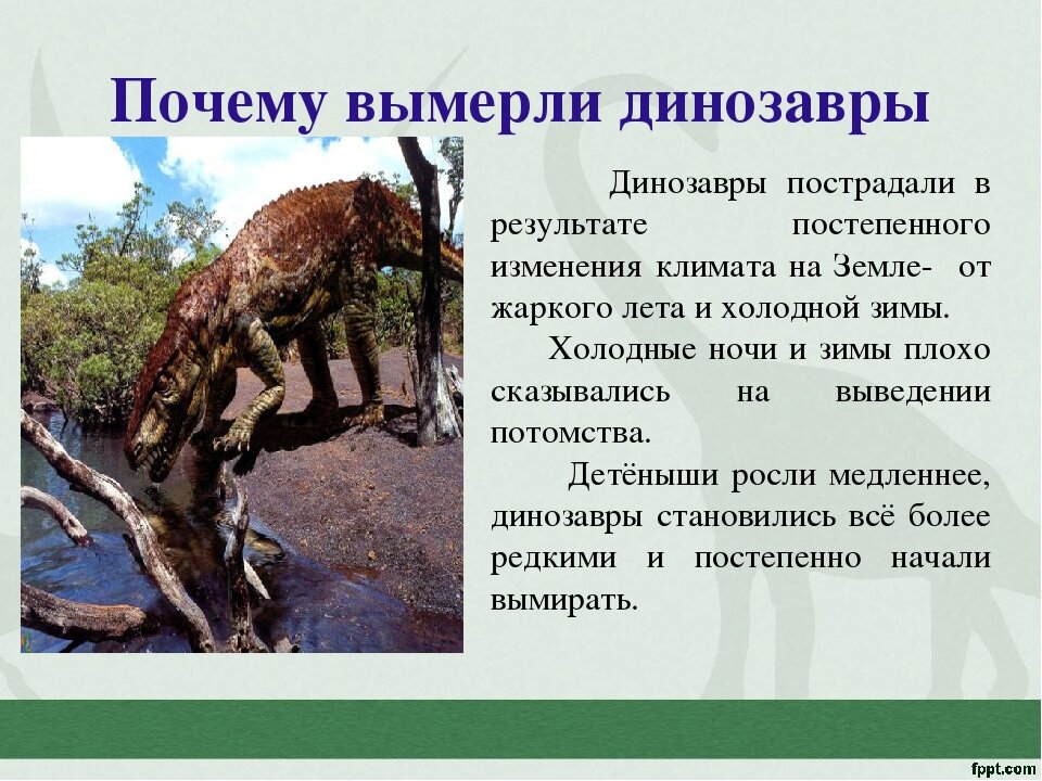 Зауроподы мелового периода. Гигантский тираннозавр рекс. Амурский динозавры презентация. Почему вымерли динозавры. Почему есть динозавры.