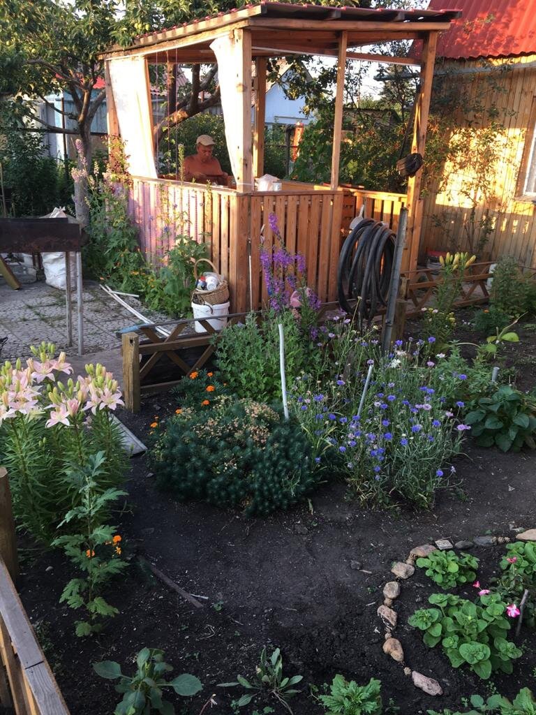 Любимый сад. Фото автора